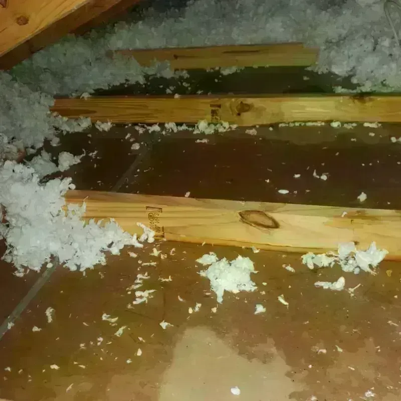 Attic Water Damage in Ashburn, GA