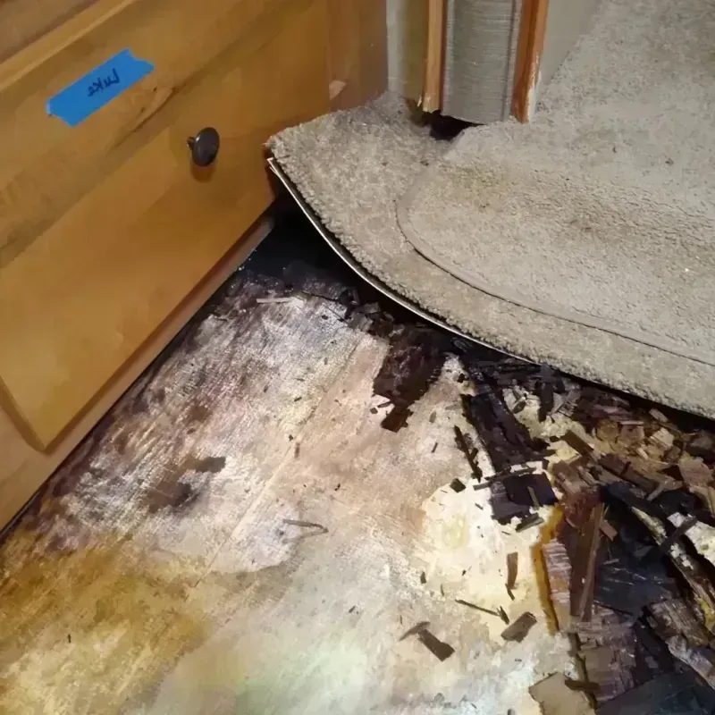 Best Wood Floor Water Damage Service in Ashburn, GA